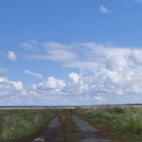 Дорога в поле.