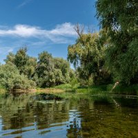 Природный парк Волго-Ахтубинская пойма. :: Дина Евсеева Природный парк Волго-Ахтубинская пойма. :: Дина Евсеева