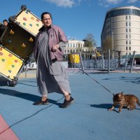 По улицам кота водили