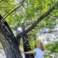 Красота лета :: Георгиевич 