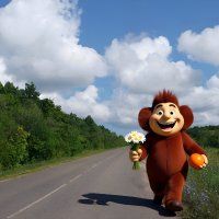 С Днём рождения Чебурашки!