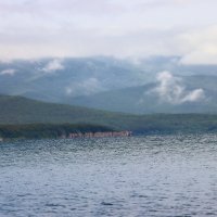 Берега залива Петра Великого