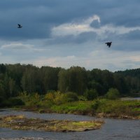 Чёму я не птиса? Чёму не литаю? :: Михаил Полыгалов Чёму я не птиса? Чёму не литаю? :: Михаил Полыгалов