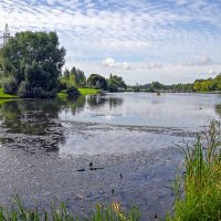 Август на городском пруду