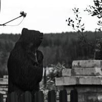 Страж забора.