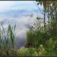 Фотозарисовка "Облака в воде". :: Лилия * Фотозарисовка "Облака в воде". :: Лилия *