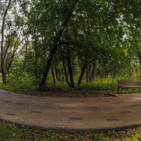 Прогулки в Летнем Парке :: юрий поляков Прогулки в Летнем Парке :: юрий поляков