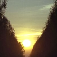 На запад