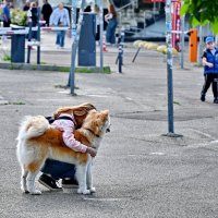 Друзья...