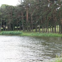 Ландшафтный парк вокруг Мирского замка