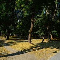 Феодосия. Предвечерний Морсад.