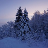 Чародейкою зимою околдован, лес стоит...