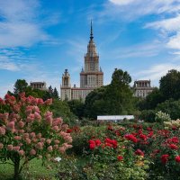 В ботаническом саду МГУ