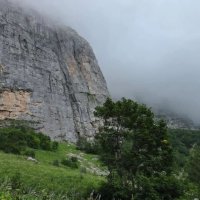 КАВКАЗСКИЙ ЗАПОВЕДНИК. ФИШТ