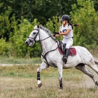 Кросс :: SanSan 