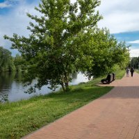 Парковое озеро на Юбилейном бульваре