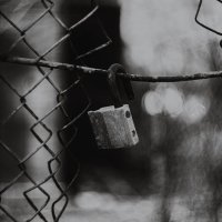 Про сокрушенные запреты. :: Анатолий Щербак