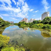 Река Пехорка и микрорайон Балашиха 2. Вид с моста.