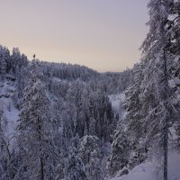 Зимушка-голубушка