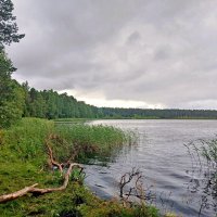 Калищенское(Глухое) озеро.