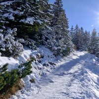 Natural World / Мир Природы Alpspitz.#Alpspitzbahn.#Walchensee-#Herzogstan #Bayerische #Alpen #Garm :: "The Natural World" Александер Natural World / Мир Природы Alpspitz.#Alpspitzbahn.#Walchensee-#Herzogstan #Bayerische #Alpen #Garm :: "The Natural World" Александер