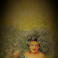 Портрет :: Лана 