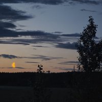 Вечер :: Александр 