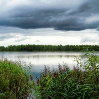 Природа в конце лета. :: Владимир Алексеевич Милешкин Природа в конце лета. :: Владимир Алексеевич Милешкин