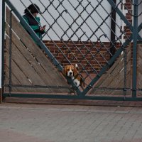 Повседневная жизнь :: Иван Климов Повседневная жизнь :: Иван Климов