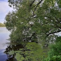 Последние денёчки лета... :: Мария Васильева Последние денёчки лета... :: Мария Васильева