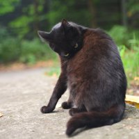 КоТоГраФия :: Константин Сафронов КоТоГраФия :: Константин Сафронов