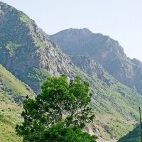 ДОЛИНА ПСКЕМА. :: Виктор Осипчук