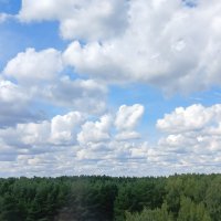 облака и лес