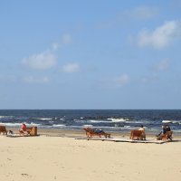 последние дни лета :: ИННА ПОРОХОВА