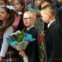 А я, как школу окончу, пойду в мэрию работать, как папка! :-) :: Андрей Заломленков