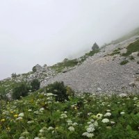 ФИШТ :: Tata Wolf