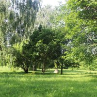 Гродненский парк :: Любовь ***