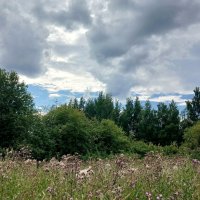 Парк Пулковской обсерватории :: Наталья Герасимова Парк Пулковской обсерватории :: Наталья Герасимова
