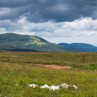 Плато Лаго-Наки