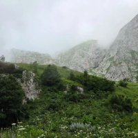 ФИШТ В ТУМАНЕ