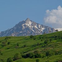 ПРОГУЛКА.