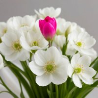 Любимые цветы