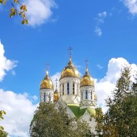 Купола храма Александра Невского :: Galina Solovova Купола храма Александра Невского :: Galina Solovova