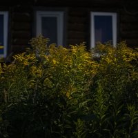 Деревенский пейзаж