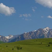 ПРОГУЛКА.
