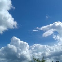 удирает :: Владимир