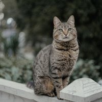 Мартовский привет из Ялты.
