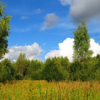 В начале осени :: Андрей Снегерёв В начале осени :: Андрей Снегерёв