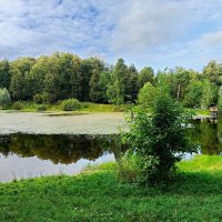 Снова в Москве (5 дней дома)