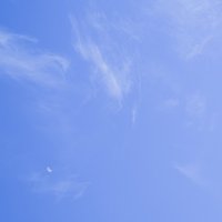 В небе голобом :: Валерий Иванович В небе голобом :: Валерий Иванович